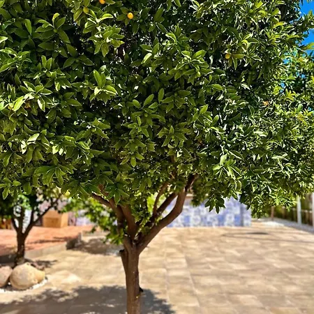 Hébergement de vacances Libelle Andalusian Hideaway C